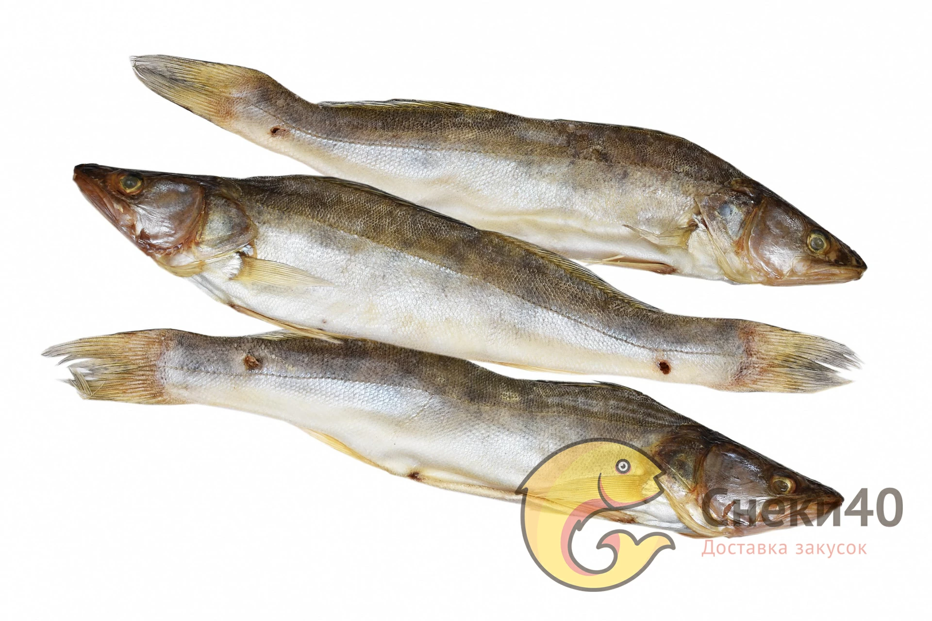 Судак вяленый Судак вяленый